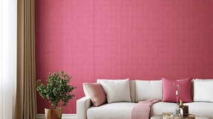 粉色拉丝背景墙