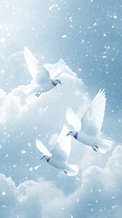 白鸽雪景