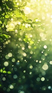 光斑点点茂密树叶