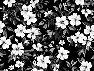 黑白数码印花花型