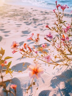 海滩花