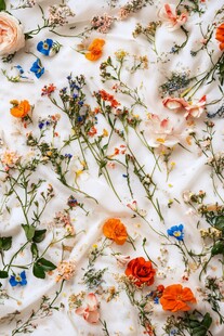 背景实拍花卉包装纸