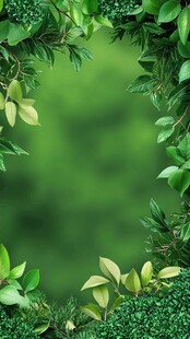 绿色植物背景边框