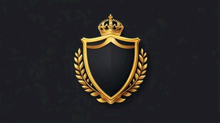 皇冠盾牌创意logo