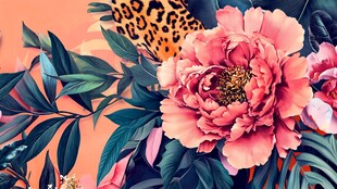 3d立体花卉牡丹