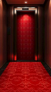 电梯厅地毯