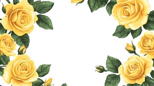 黄色玫瑰插画