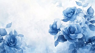 背景蓝玫瑰图片素材