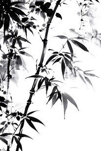 墨韵水墨竹叶