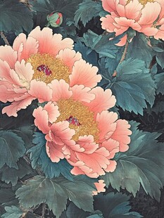 工笔牡丹花开富贵