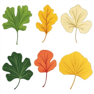 银杏叶卡通图片