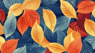 五彩树叶背景实拍