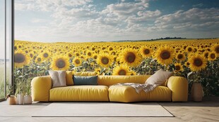 太阳花电视背景墙