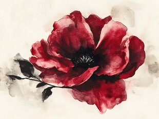 大红花水墨花卉