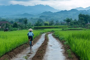 乡村道路上的骑车人