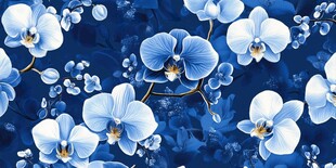 蓝色蝴蝶兰花卉图案