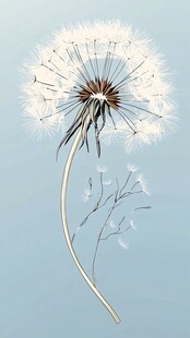 蒲公英的种子之旅