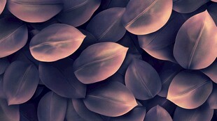 紫色叶子的抽象图案