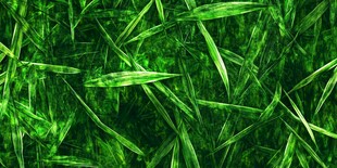 绿色草地纹理背景