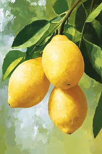 柠檬的生长与收获