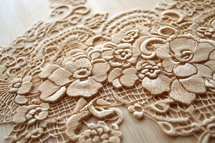 精细刺绣花纹蕾丝