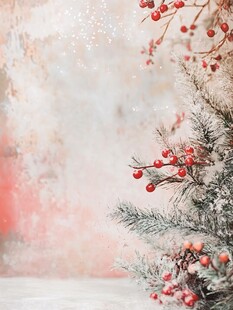 冬日静谧 红果挂枝头