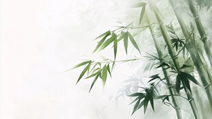 翠竹幽韵