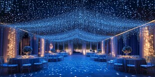 星光璀璨的宴会厅