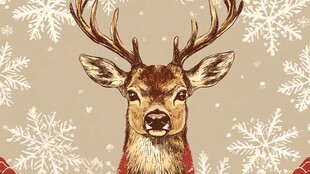 鹿与雪花的圣诞插画
