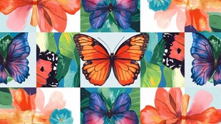 五彩斑斓的蝴蝶与花朵的拼贴画