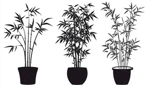 盆栽竹子剪影图案