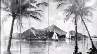 黑白海景中的椰树与帆船