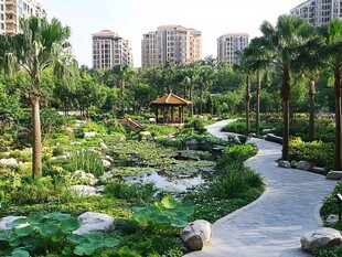 小区内的清幽园林景观