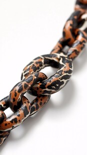 豹纹链条饰品特写