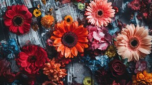 多彩花卉铺展于报纸之上