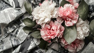 粉色白色花卉与报纸组合