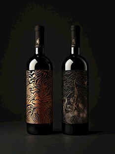 双瓶特色设计葡萄酒展示