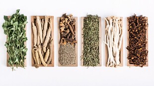 多样中药材整齐排列展示