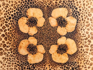 豹纹底花朵图案纹理