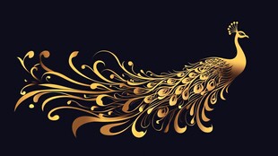 金色华丽孔雀艺术插画