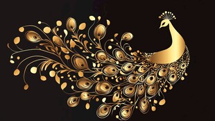 金色华丽孔雀艺术插画