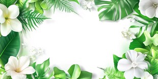 清新花卉绿叶边框背景