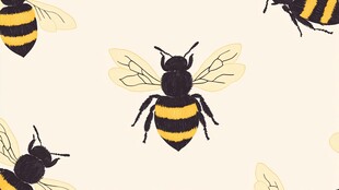 可爱蜜蜂图案背景图