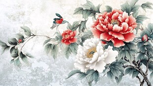 国画牡丹花鸟雅致图景