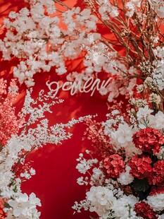 浪漫红底花卉装饰布置