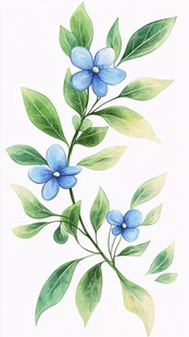 蓝色小花绿叶水彩插画