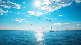 碧海蓝天间的帆船与飞鸟