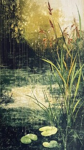 雨中池塘畔的植物景致