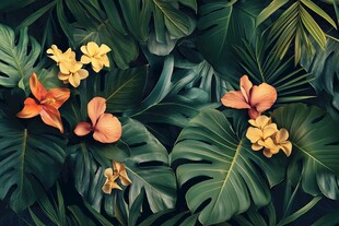 热带花卉与绿叶的美丽邂逅