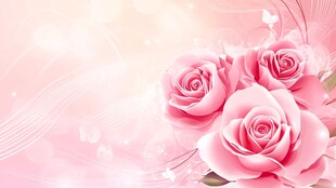 浪漫粉色玫瑰花背景图